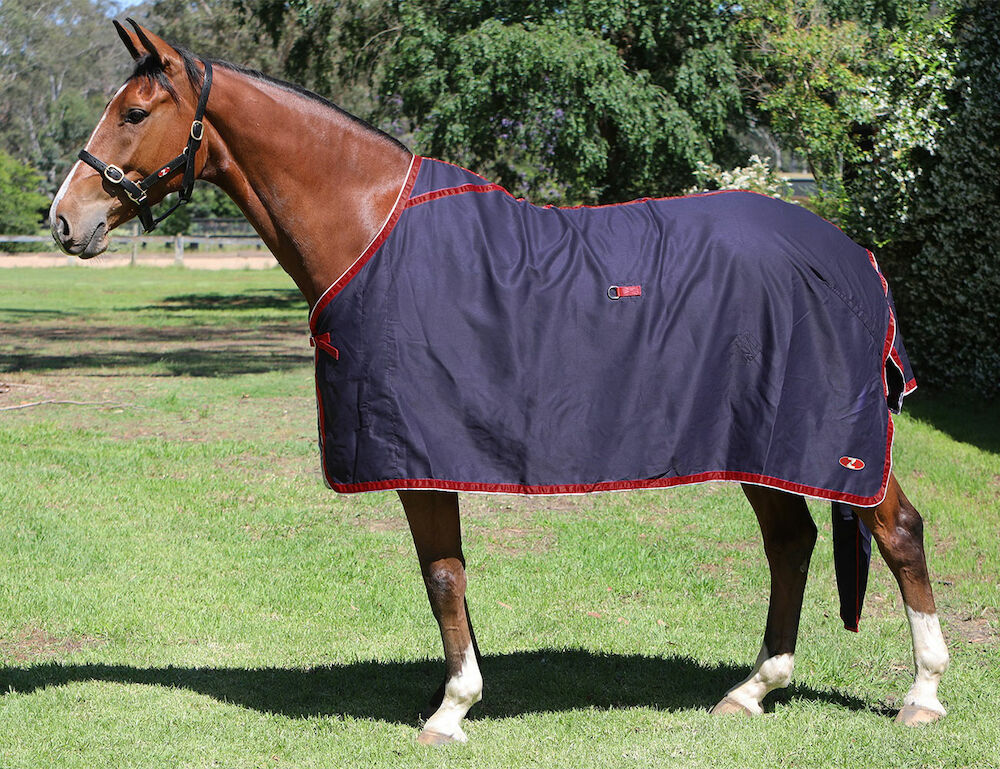 ZILCO Show Circuit Cotton Rug