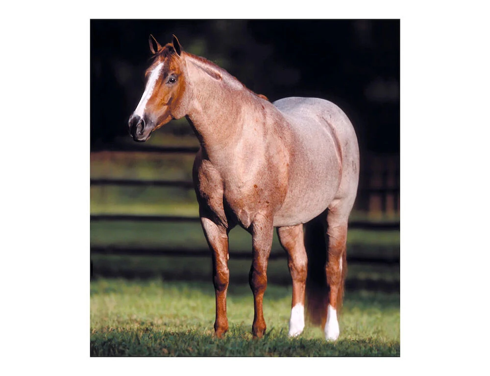 BREYER Traditional Peptoboonsmal