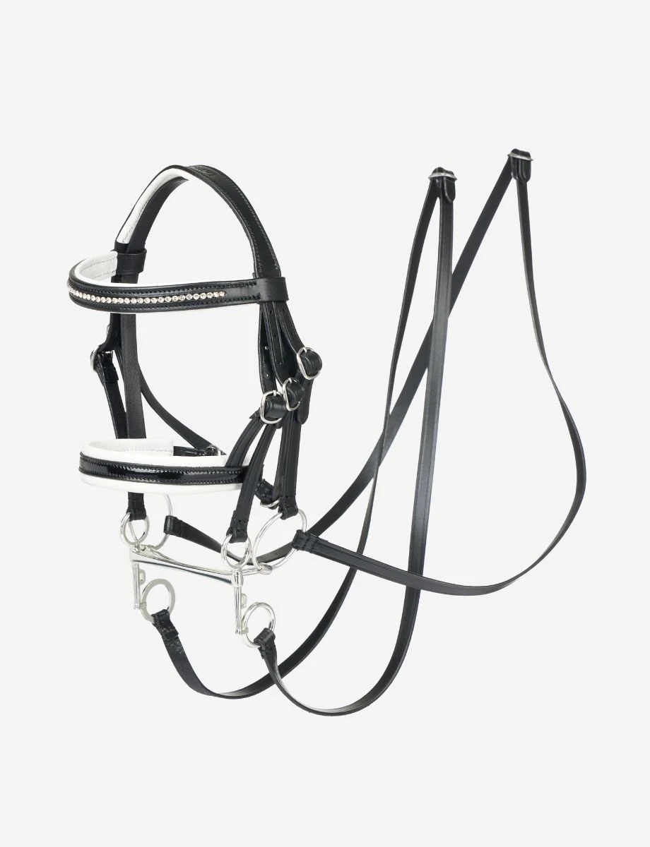 LEMIEUX Hobby Horse Double Bridle
