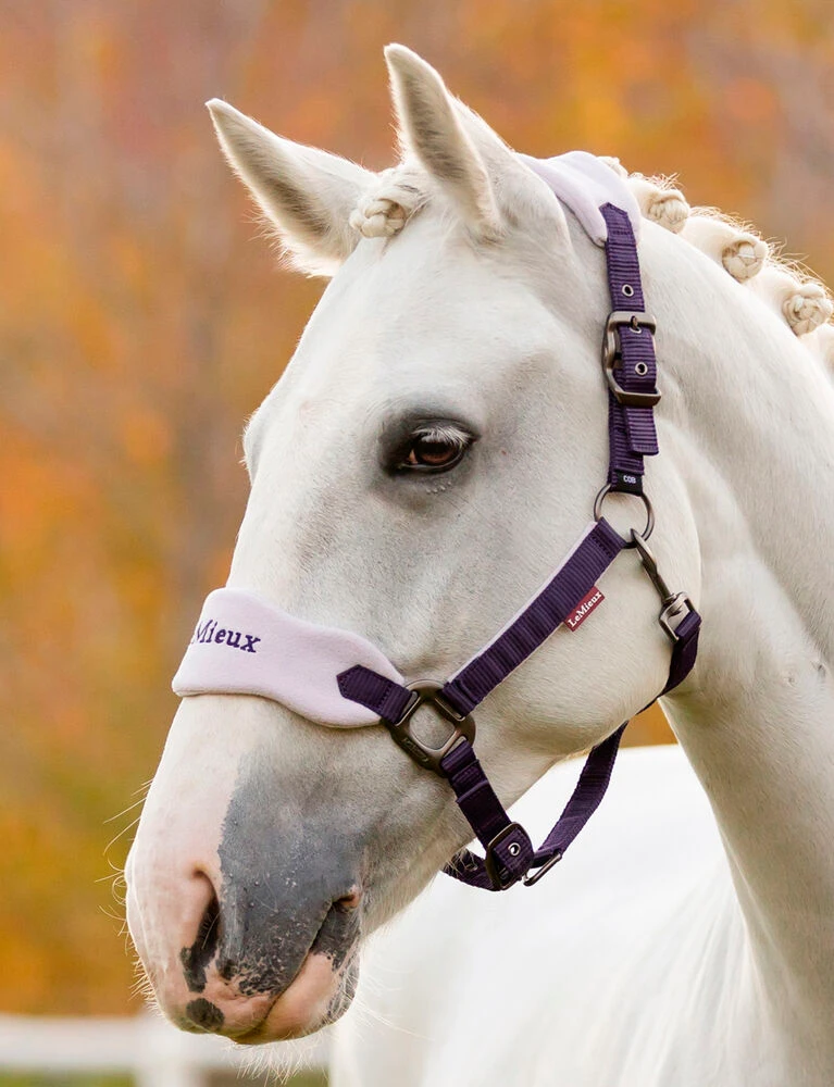 LEMIEUX Vogue Headcollar And Leadrope