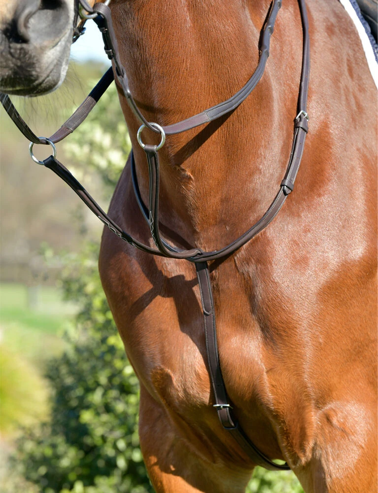 COLLEGIATE ComFiTec Opulux Fancy Raised Running Martingale