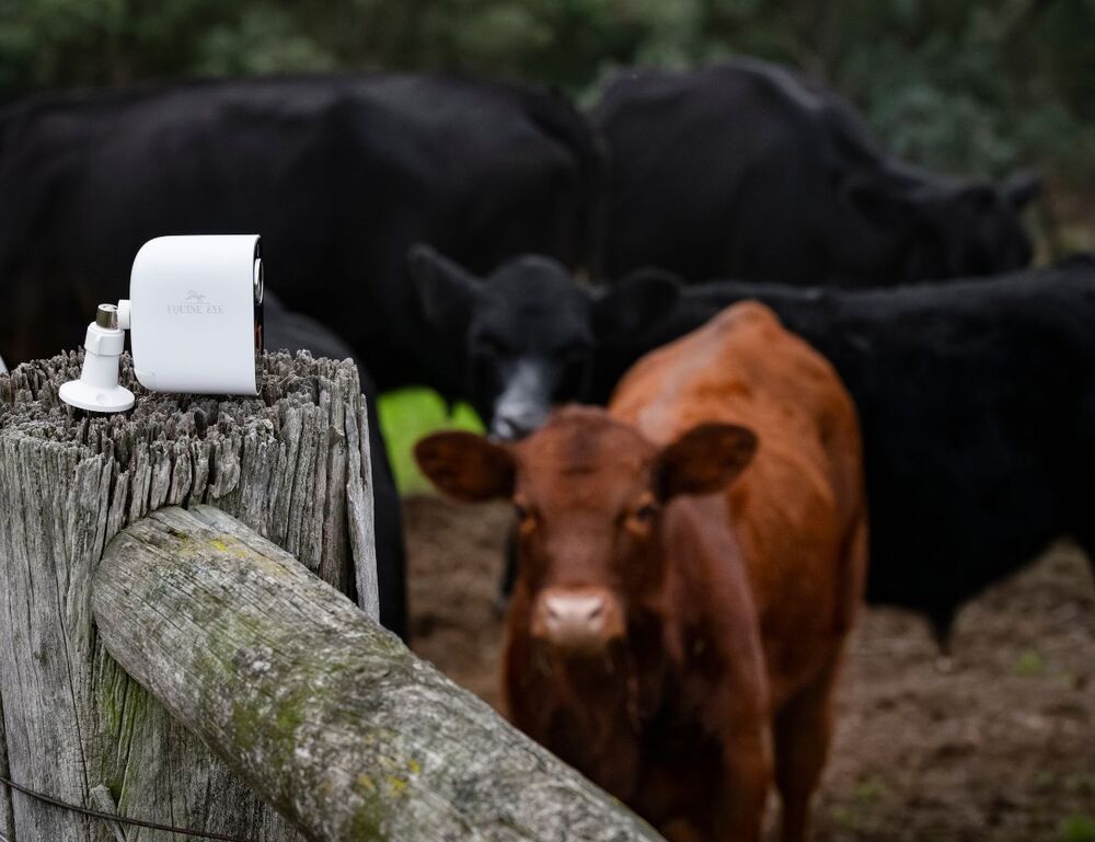 EQUINE EYE Universal 4G Camera Only