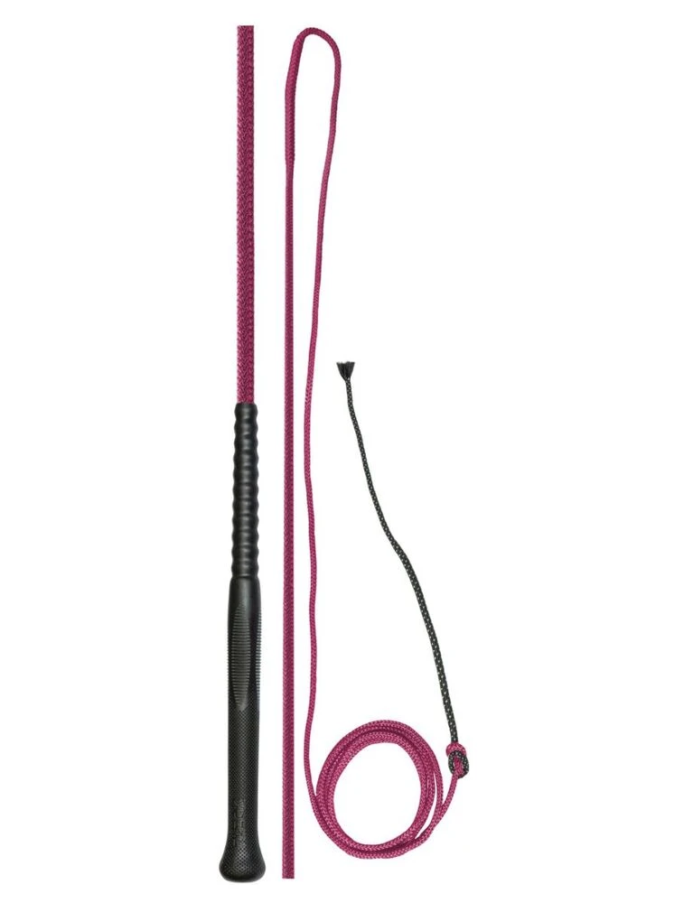 FLECK Lunging Whip With Ergo Grip