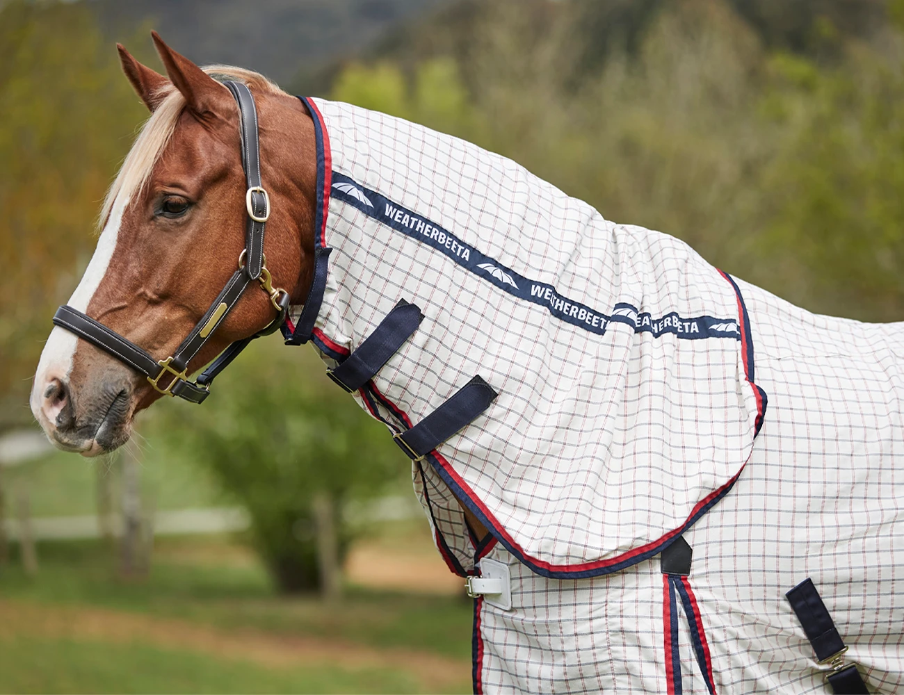 WEATHERBEETA Lite Summer Sheet Combo Neck