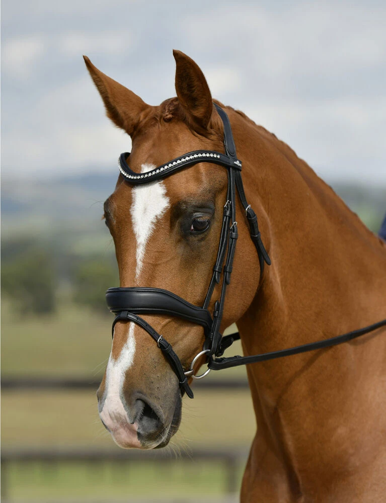 COLLEGIATE ComFiTec Opulux Padded Dressage Bridle