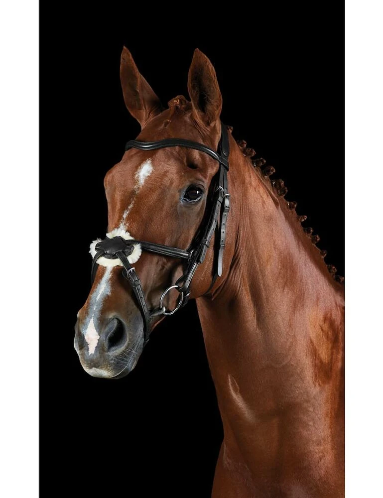 COLLEGIATE ComFiTec Grackle Bridle