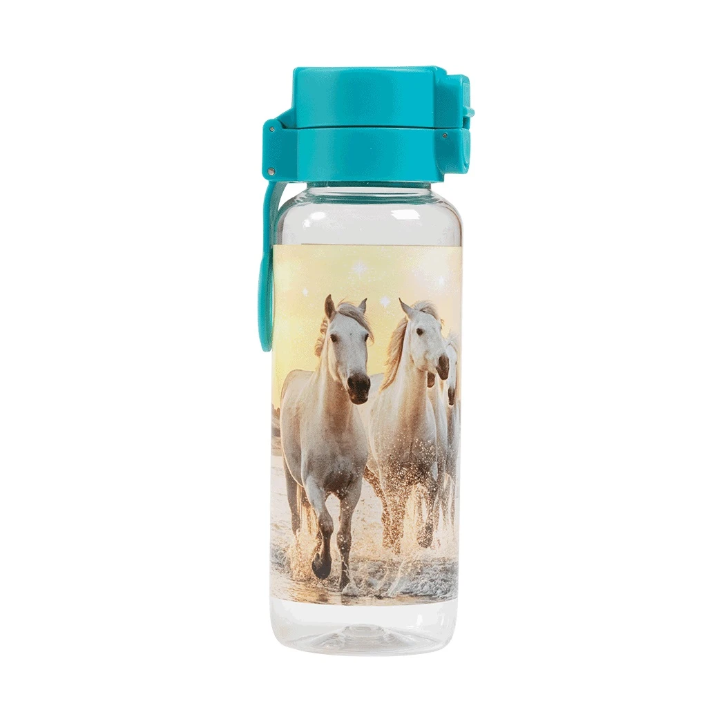 SPENCIL Big Water Bottle 650Ml