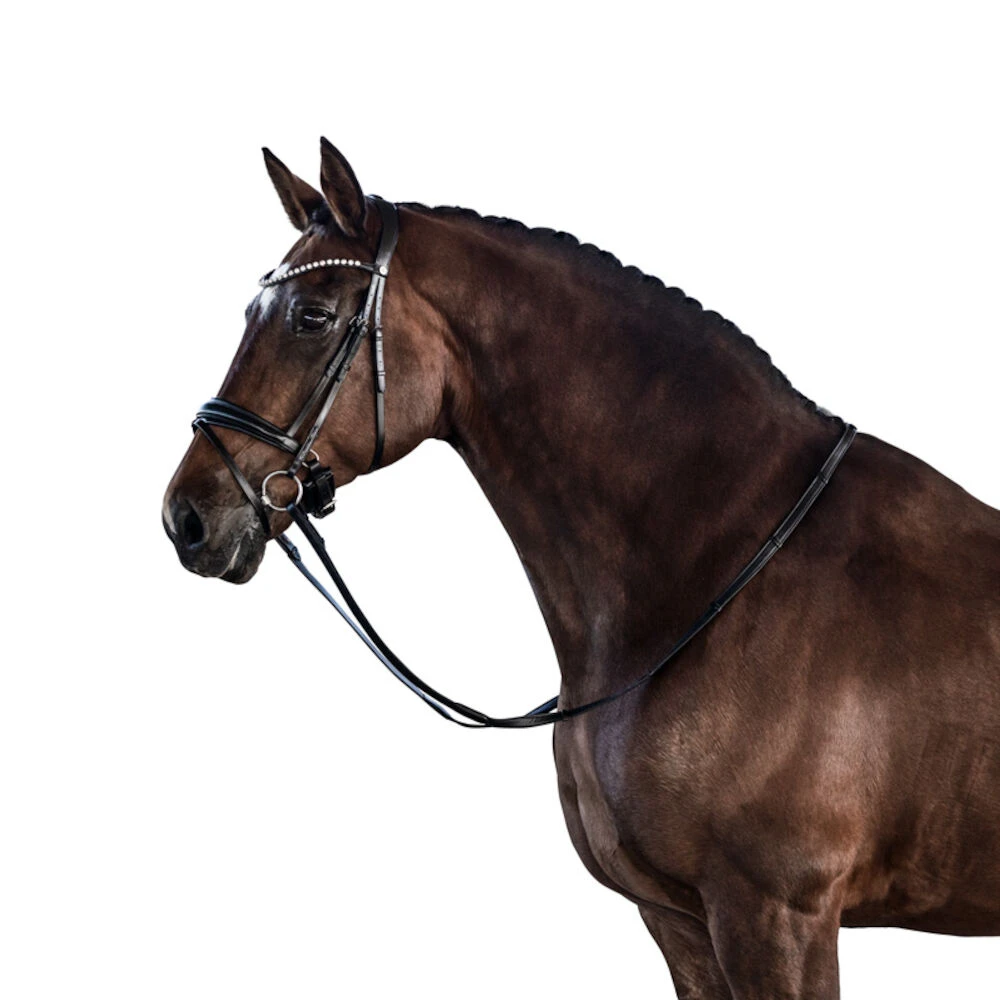LARA TWEEDIE Essential Snaffle Bridle With Flash