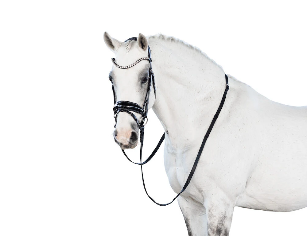 LARA TWEEDIE Glam Snaffle Bridle With Flash