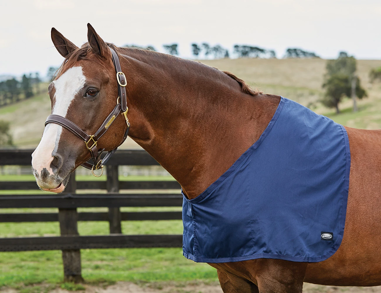 WEATHERBEETA Cotton Shoulder Guard