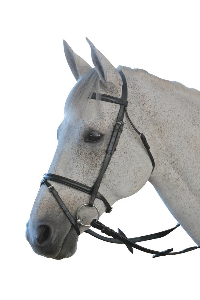 SADDLECRAFT Flash Bridle III