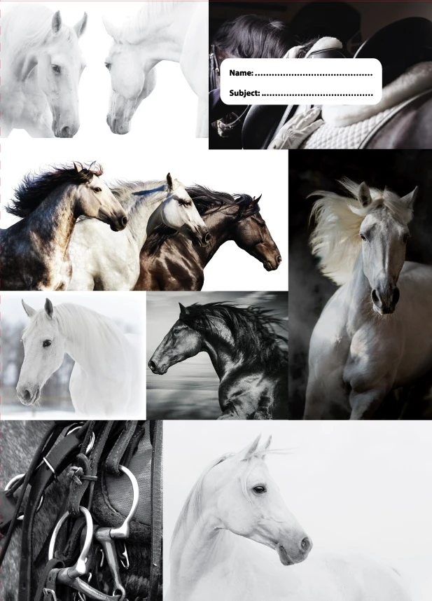 SPENCIL A4 Book Cover - B&W Horses Iv