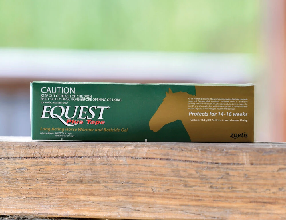 ZOETIS Equest Plus Tape Worm Paste