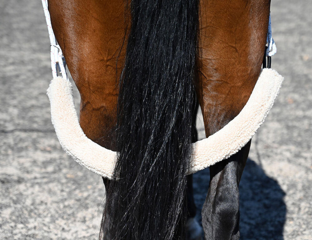 KINCADE Lunging Training System