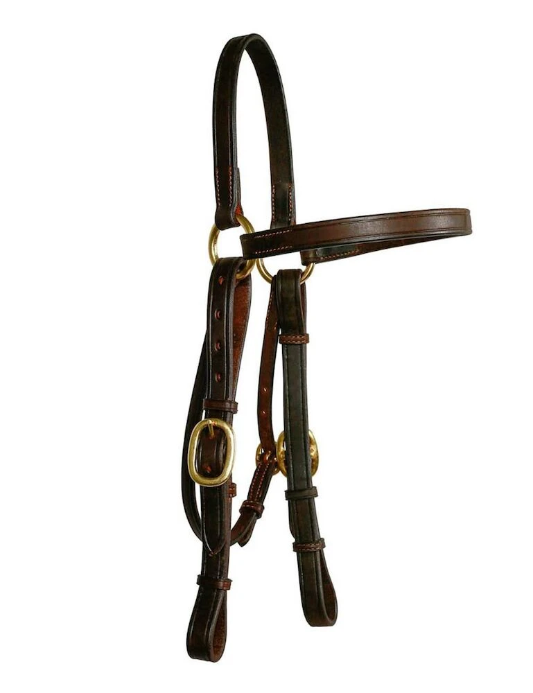 SYD HILL Barcoo Bridle Head