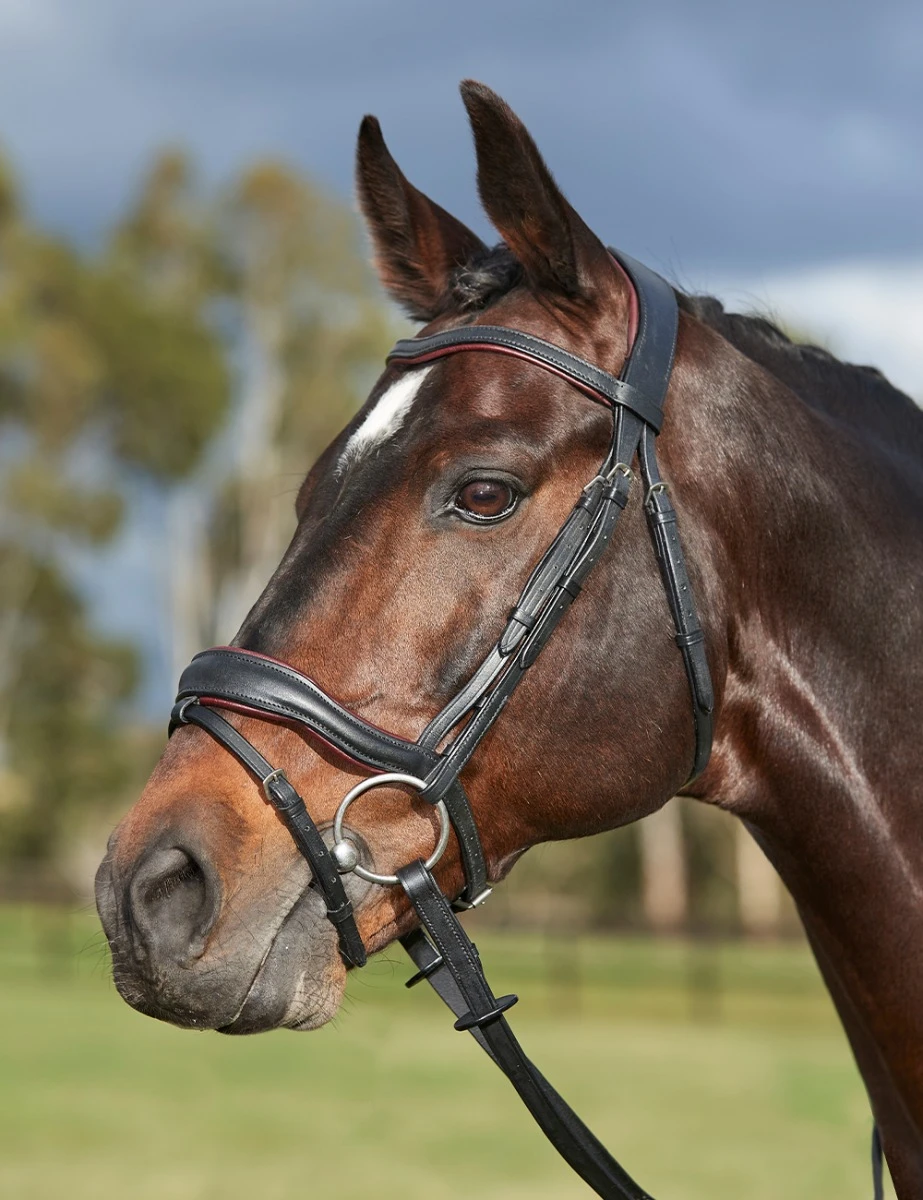 COLLEGIATE ComFiTec Grace Bridle