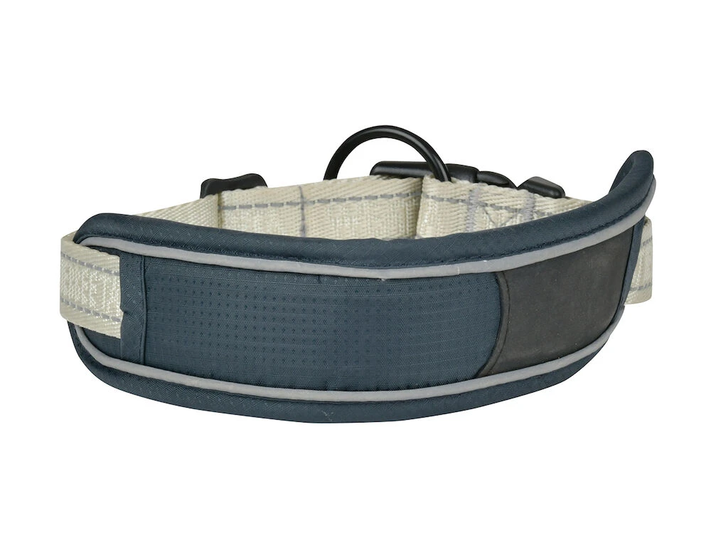 WEATHERBEETA Explorer Dog Collar