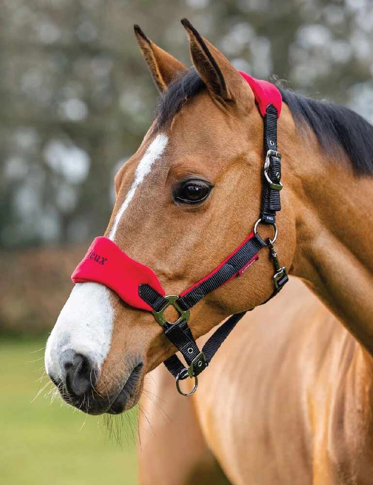 LEMIEUX Lemieux Vogue Fleece Headcollar And Lead Rope