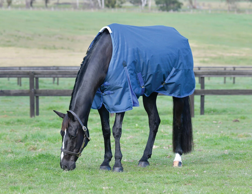 WEATHERBEETA ComFiTec Prelim Standard Neck Medium