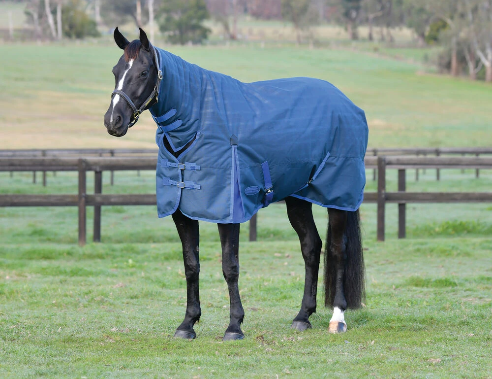 WEATHERBEETA ComFiTec Prelim Combo Neck Medium