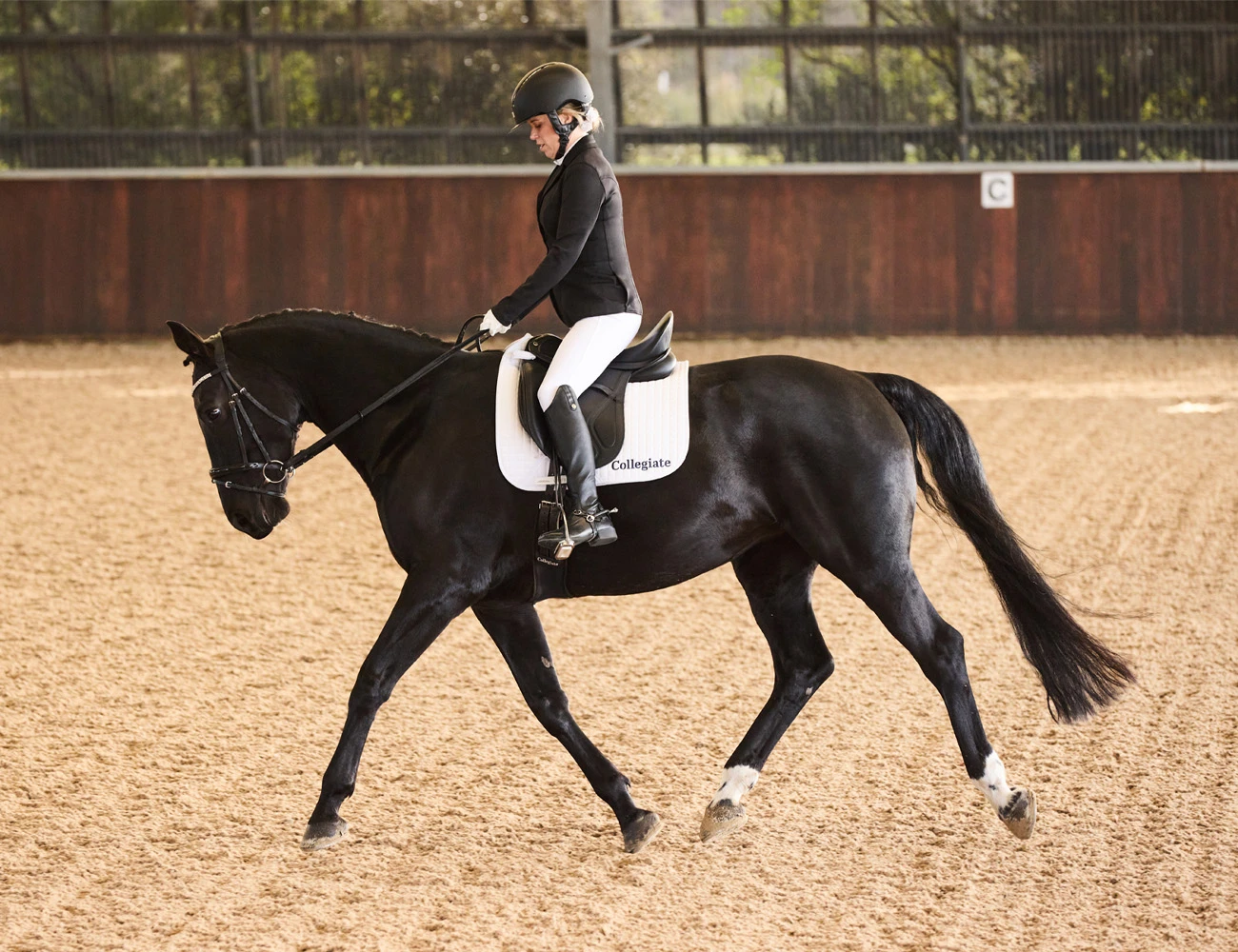 COLLEGIATE Acclaim Dressage Saddle