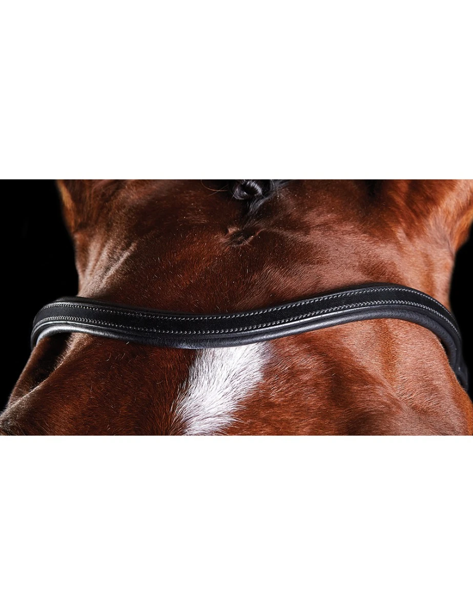 COLLEGIATE ComFiTec Training Bridle