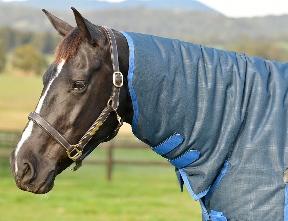 WEATHERBEETA ComFiTec Prelim Combo Neck Medium