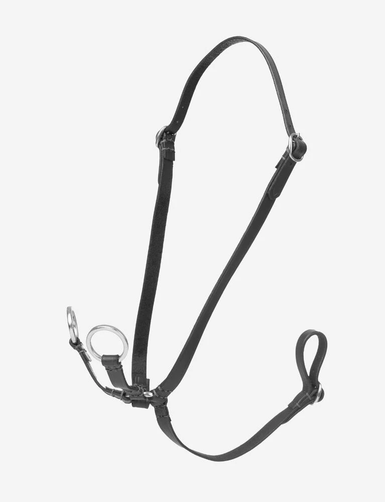 LEMIEUX Hobby Horse Running Martingale