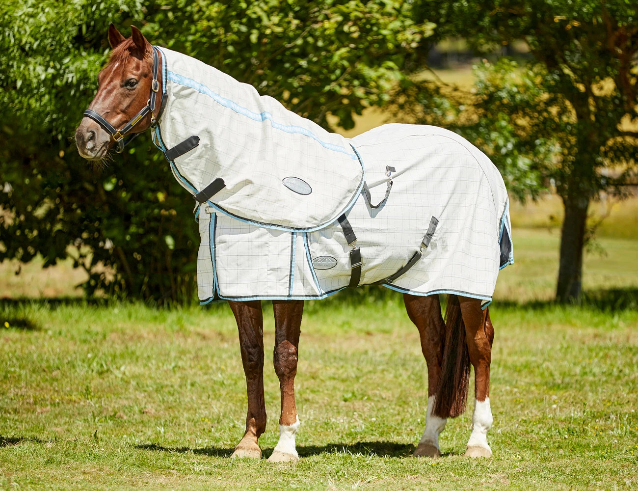 WEATHERBEETA Cotton Summer Sheet Neck Rug