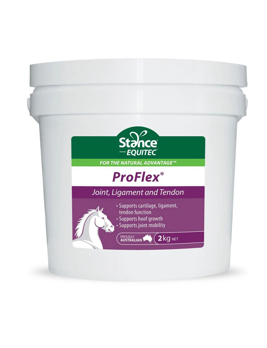 STANCE EQUITEC Equitec Pro-Flex - 2KG