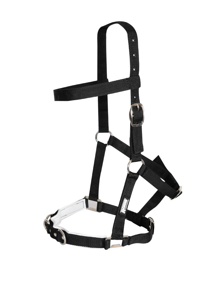KINCADE Nylon Padded Lunge Cavesson