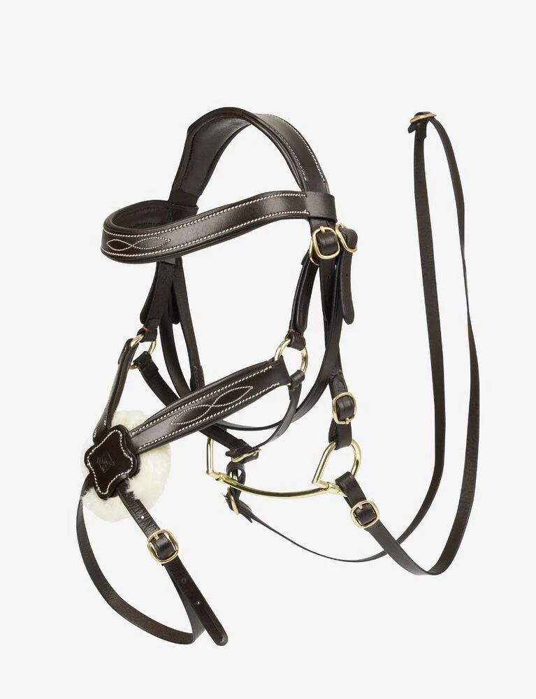 LEMIEUX Hobby Horse Grackle Bridle