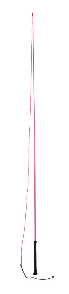 DUBLIN Brights Lunge Whip