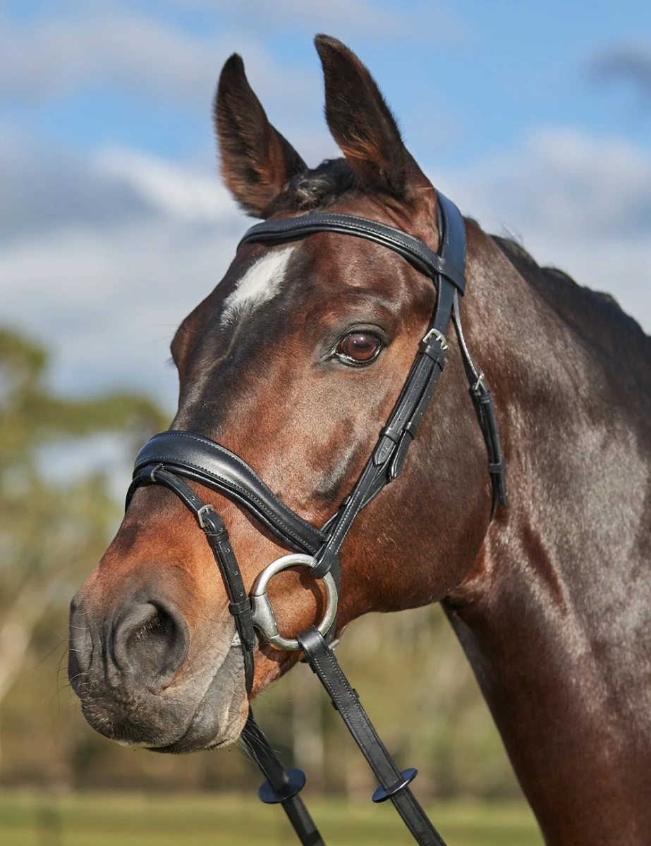 COLLEGIATE ComFiTec Grace Bridle