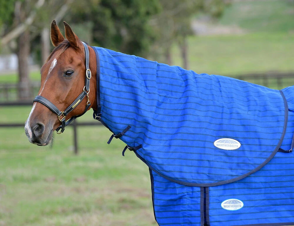 WEATHERBEETA Lined Canvas Neck Rug