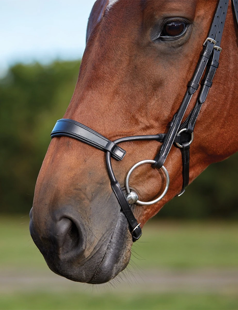 COLLEGIATE ComFiTec Training Bridle
