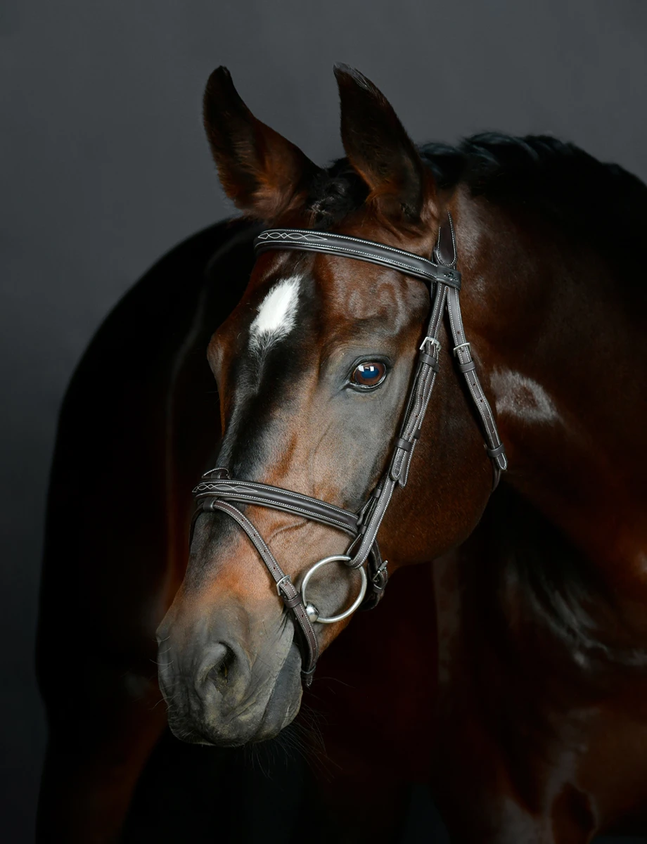 COLLEGIATE ComFiTec Opulux Fancy Stitch Padded Hanoverian Bridle