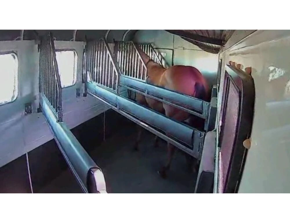 EQUINE EYE On The Road Wireless Trailer Cam