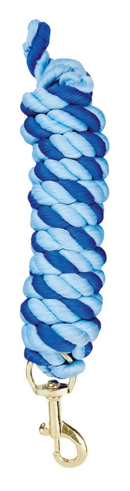 SAXON Two Tone Lead