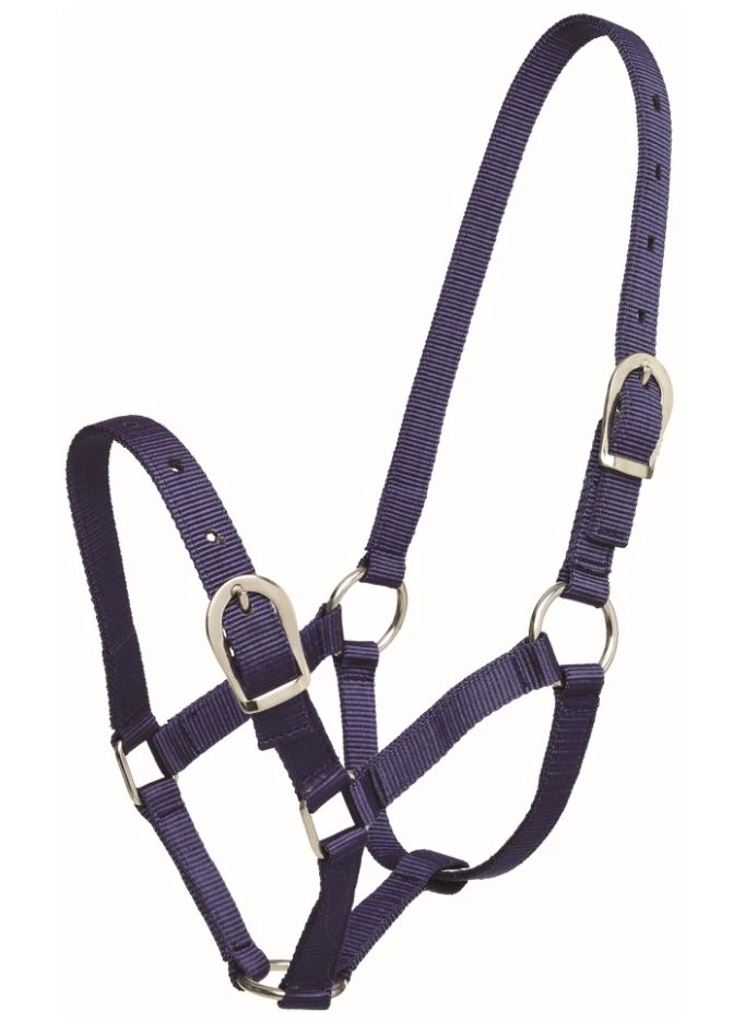 GYMKHANA Small Pony Halter