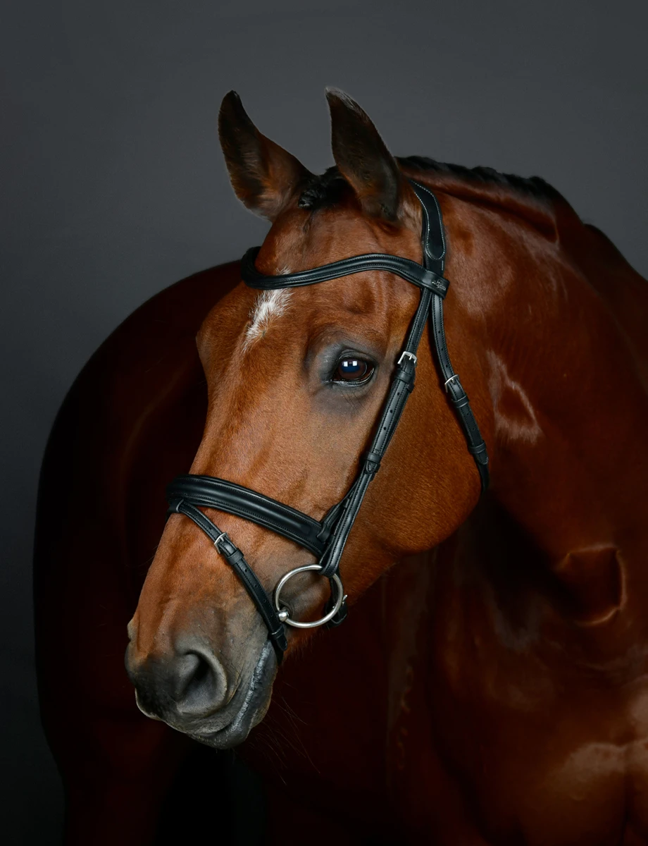 COLLEGIATE ComFiTec Opulux Plain Padded Hanoverian Flash Bridle