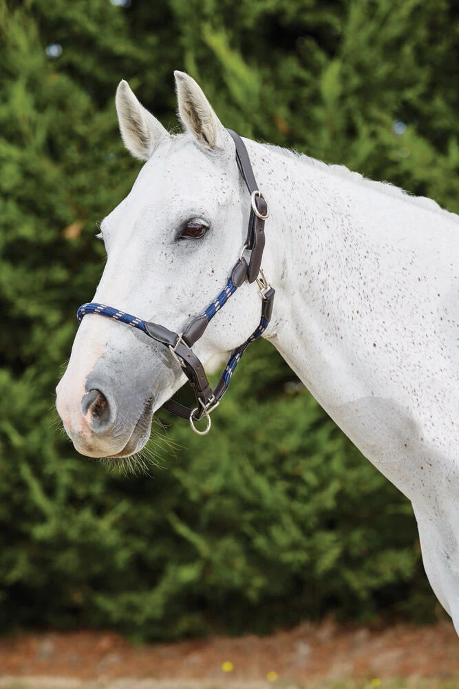 KINCADE Leather Rope Headcollar
