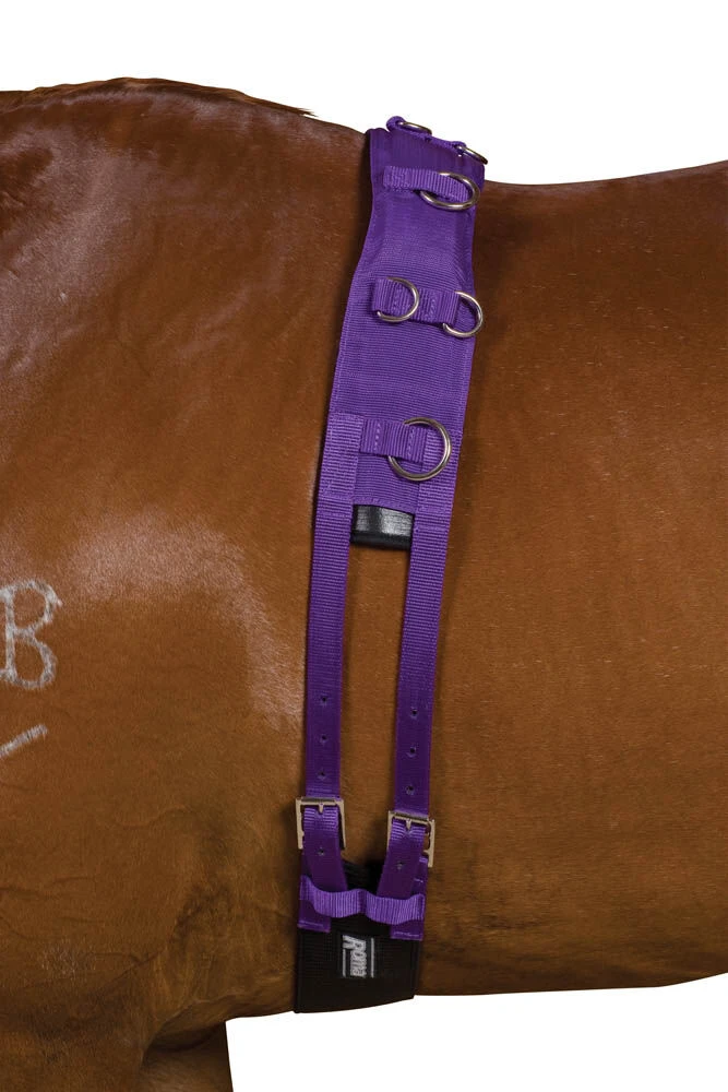 KINCADE Deluxe Equigrip Lunge Roller
