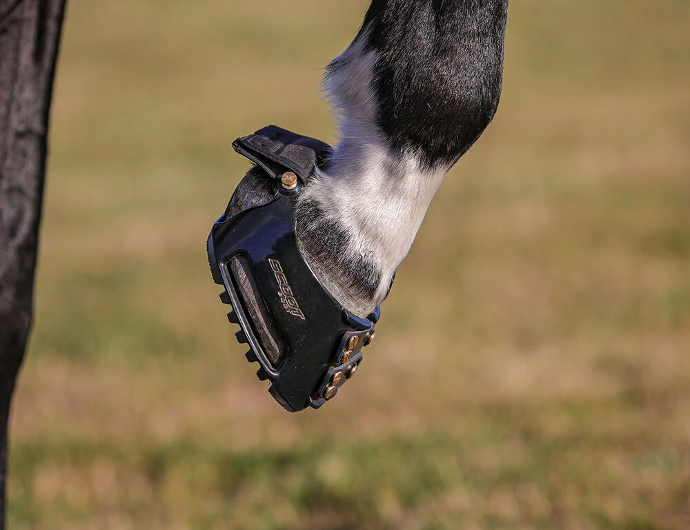 SCOOT BOOTS Scoot Boot Trail Gaiter