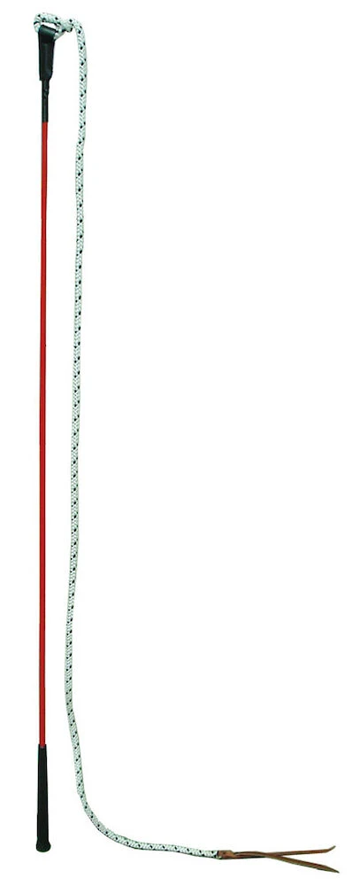 HORSEMANSHIP Training Stick