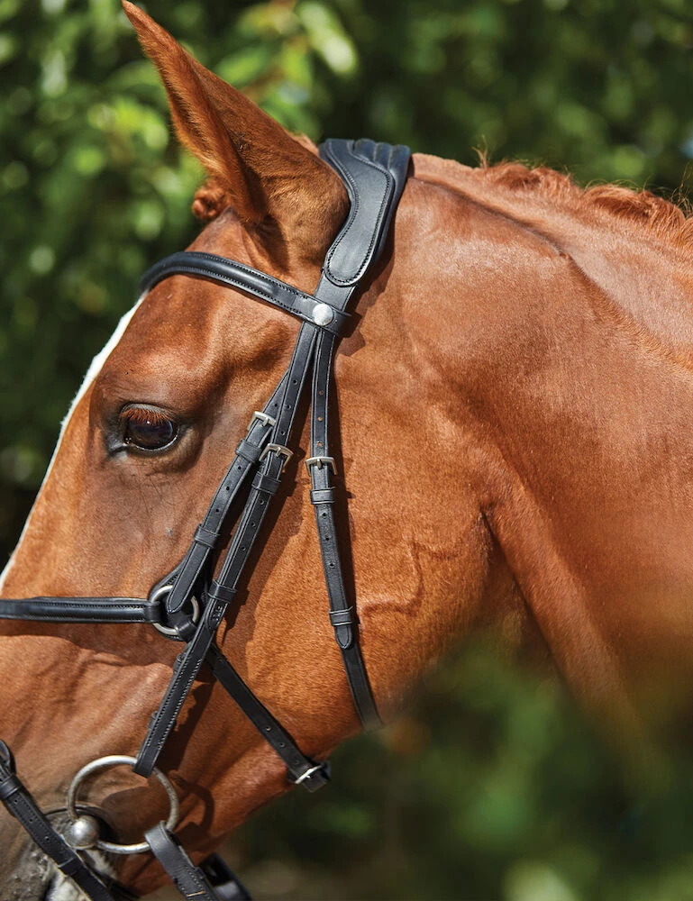 COLLEGIATE ComFiTec Grackle Bridle