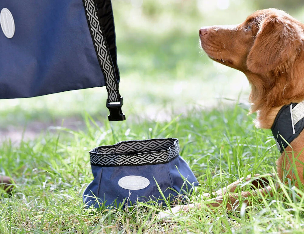 WEATHERBEETA Explorer Dog Water/Feed Bowl