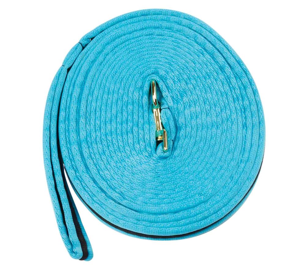 KINCADE Brights Two Tone Padded Lunging Rein