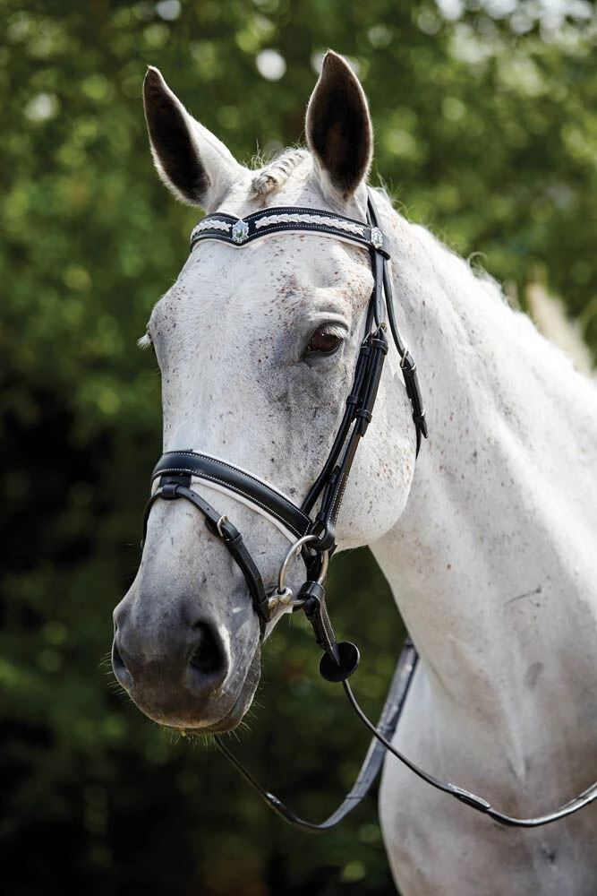 KINCADE White Plaited Hanoverian Bridle