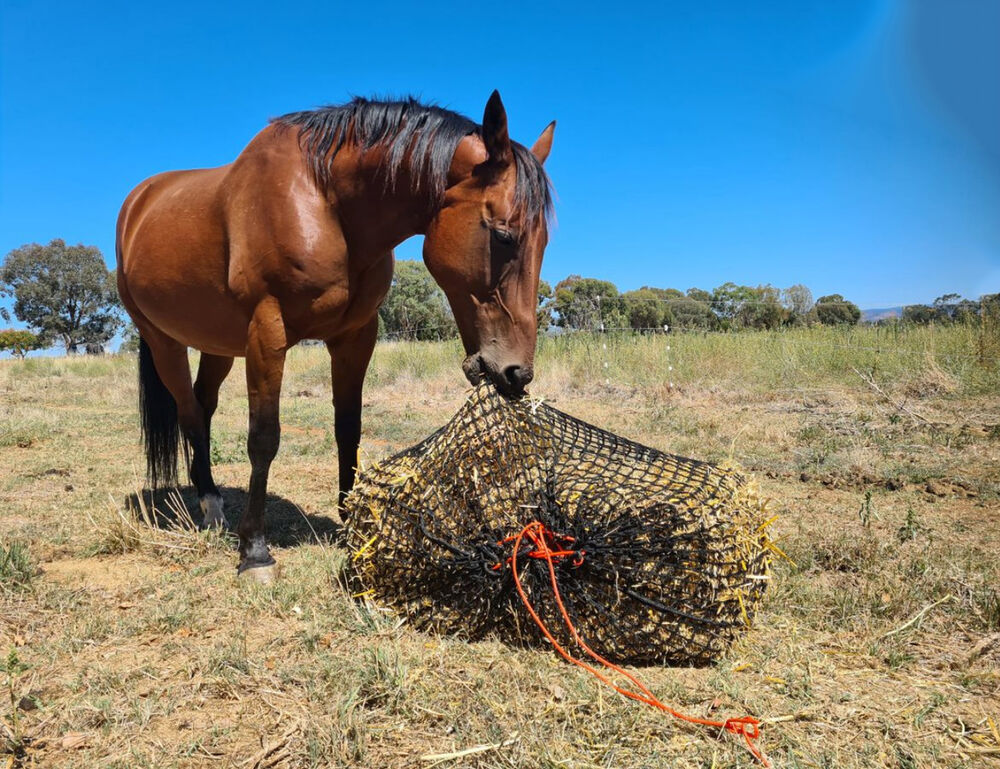 GUTZBUSTA Deluxe 5MM Knotless Slow Feed Hay Net